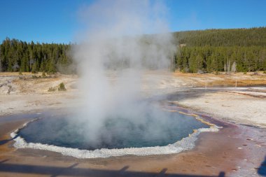 Yellowstone Milli Parkı