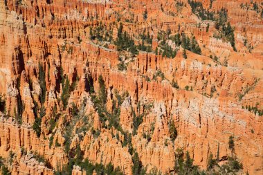  Bryce Kanyonu Ulusal Parkı