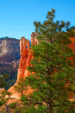  Bryce Kanyonu Ulusal Parkı