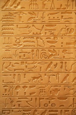Duvarda Mısır hiyeroglifleri 