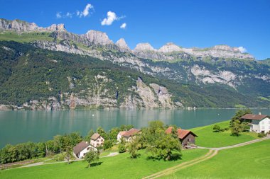 Yaz peyzaj Walensee bölgesi