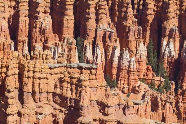 Bryce canyon national park — Stock Photo, Image