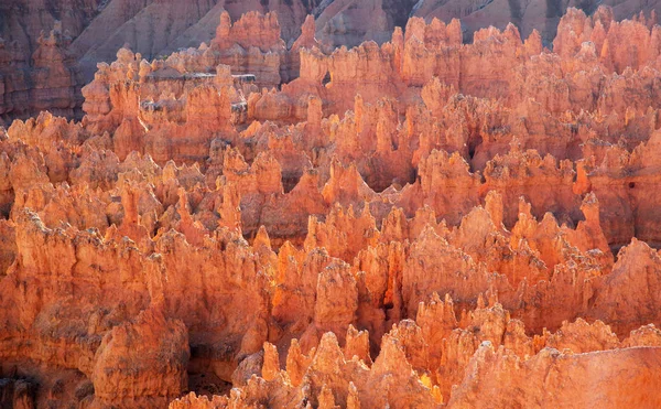 Bryce canyon national park — Stock Photo, Image