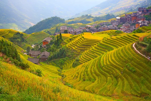 Terraço de arroz Longsheng — Fotografia de Stock