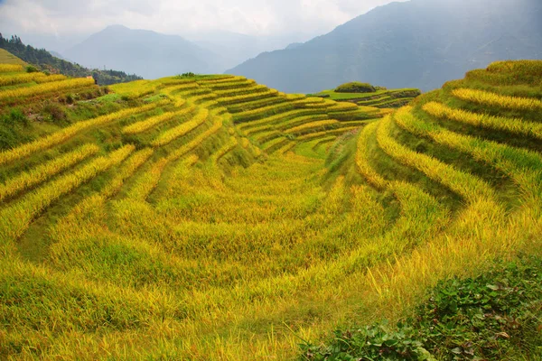 Terraço de arroz Longsheng — Fotografia de Stock