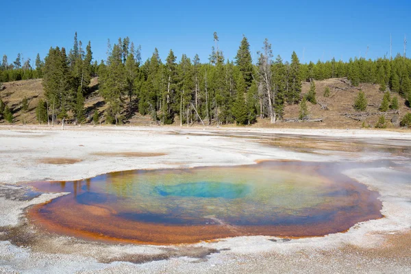 Yellowstone nationalpark — Stockfoto