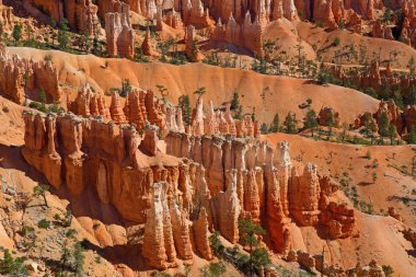 Bryce Canyon Ulusal Parkı Utah, ABD.