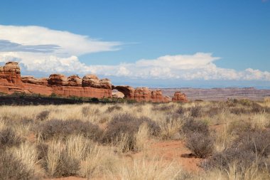 Arches Milli Parkı, Utah, ABD.