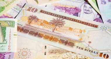 Suudi Arabistan Riyal para koleksiyonu