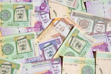 Suudi Arabistan Riyal para koleksiyonu
