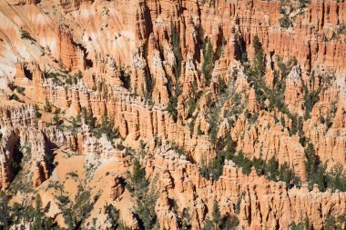 Bryce Canyon Ulusal Parkı Utah, ABD.
