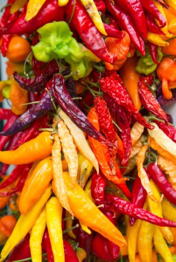 Kuru biber (natrural bitkisel gıda baharat koleksiyonu).