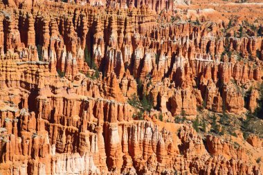 Bryce Canyon Ulusal Parkı Utah, ABD.