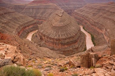 Goosenecks devlet parkı San Juan Nehri Utah, ABD.