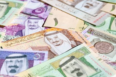 Suudi Arabistan Riyal para koleksiyonu