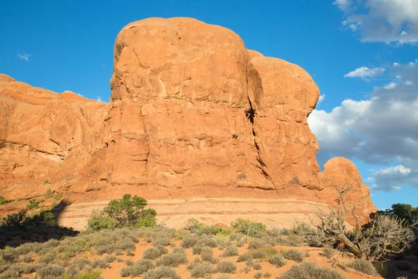 Landskapet Arches National Park Utah Usa — Stockfoto