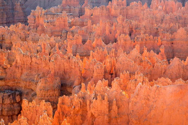 Bryce Canyon National Park Utah Usa — Stock Photo, Image