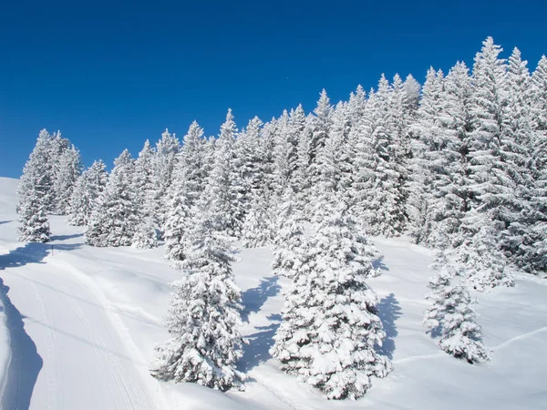 Зима Швейцарських Альпах Швейцарія — стокове фото