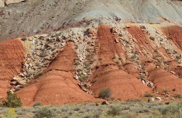 Capitol Reef National Park Utah Eua — Fotografia de Stock