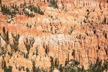 Bryce Canyon Ulusal Parkı Utah, ABD.