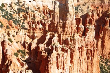 Bryce Canyon Ulusal Parkı Utah, ABD.