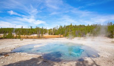 Colorful hot water pool in Yellowstone National park, USA. clipart