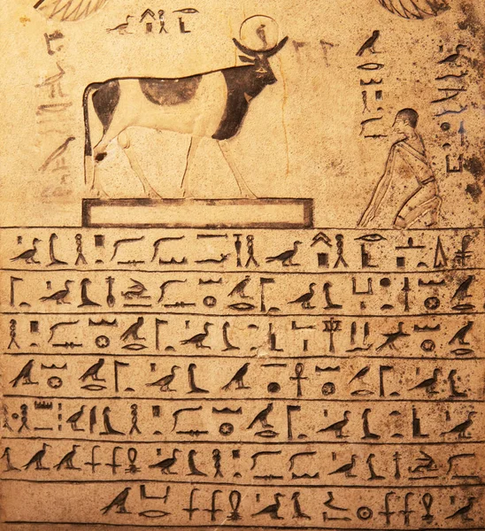 Closeup Egyptských Hieroglyfů Zdi — Stock fotografie