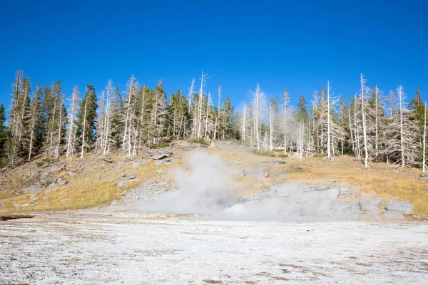 Θερμοπίδακας Έκρηξη Στην Παλιά Πιστή Περιοχή Της Εθνικό Πάρκο Yellowstone — Φωτογραφία Αρχείου