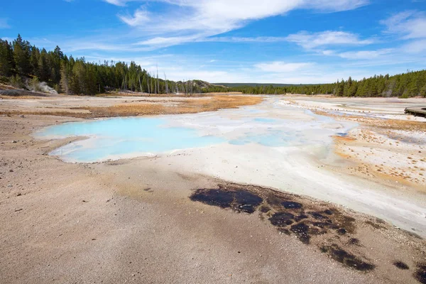 Colorida Piscina Agua Caliente Parque Nacional Yellowstone — Foto de Stock