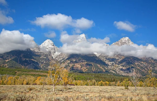 Grand Teton National Park Wyoming Stati Uniti — Foto Stock