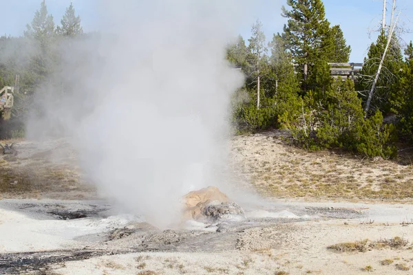 Cuenca Del Geiser Inferior Parque Nacional Yellowstone Estados Unidos — Foto de Stock