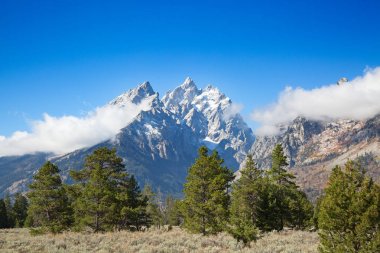 Grand Teton Ulusal Parkı, Wyoming, ABD.