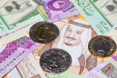 Suudi Arabistan Riyali banknotlar renkli koleksiyonu
