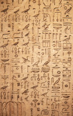 Duvarda Mısır hiyeroglif closeup
