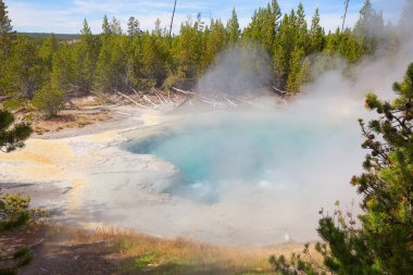 Renkli sıcak su havuzu Yellowstone Milli Parkı, ABD.
