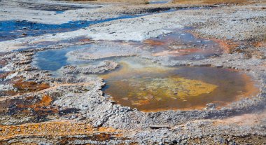 Renkli sıcak su havuzu Yellowstone Milli Parkı, ABD.