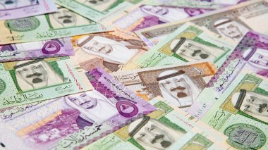 Suudi Arabistan Riyali banknotlar renkli koleksiyonu