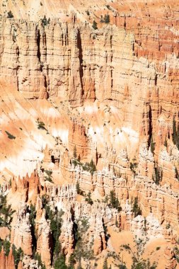 Bryce Canyon Ulusal Parkı Utah, ABD.