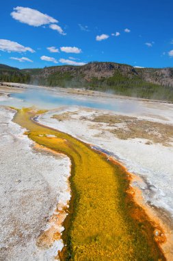 Renkli sıcak su havuzu Yellowstone Milli Parkı, ABD.