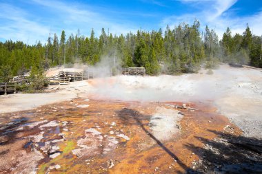 Norris Havzası Yellowstone Milli Parkı, ABD Şofben patlama.