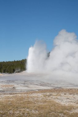Eski sadık Şofben Erüpsiyonu inyellowstone Milli Parkı, ABD.