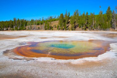 Renkli sıcak su havuzu Yellowstone Milli Parkı, ABD.