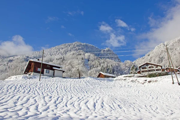 Vinter Schweiziska Alperna Schweiz — Stockfoto