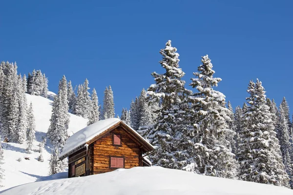 Χειμώνα Στις Άλπεις Της Ελβετίας Ελβετία — Φωτογραφία Αρχείου