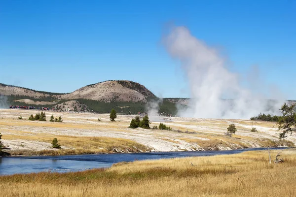 Lower Geyser Basin Yellowstone National Park Usa — Stock Photo, Image