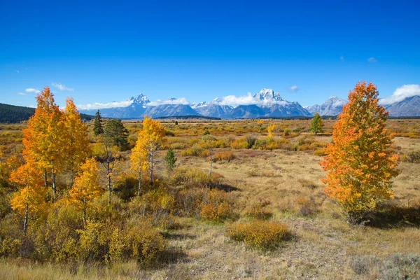 Grand Teton National Park Wyoming Estados Unidos — Foto de Stock