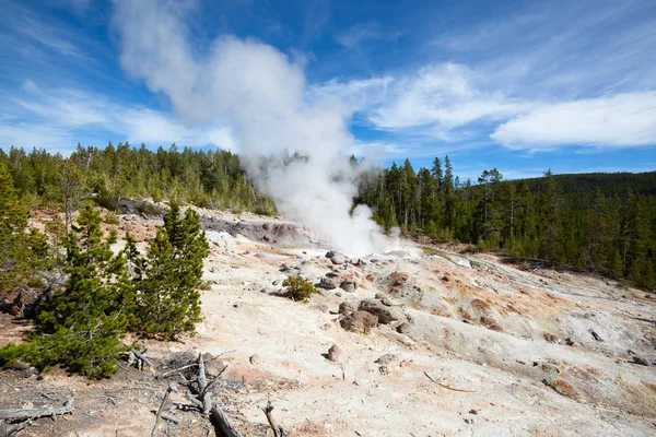 Erupción Géiser Cuenca Del Norris Del Parque Nacional Yellowstone — Foto de Stock