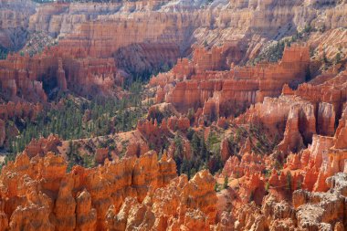 Bryce Kanyonu