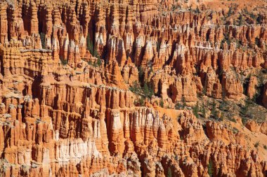 Bryce Kanyonu