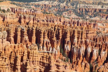 Bryce Kanyonu